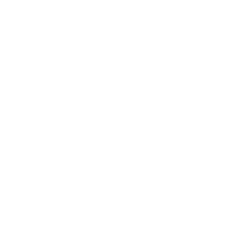 THE DIGITAL INT